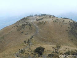 Gunung Merbabu Bikin Rindu