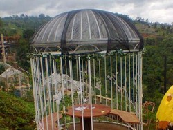 Cuma di Bandung, Kulineran di Sangkar Burung