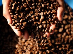 Januari-Februari 2017, RI Impor Kopi dari Brasil Hingga Vietnam