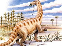 Temuan Menakjubkan! Protein Dinosaurus Berusia 195 Juta Tahun