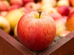 Waduh! Penumpang Ini Didenda Rp 7 Juta Karena Bawa Apel dari Pesawat