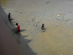 Ratusan Ikan Mati di Sungai Cisadane Jadi Rebutan Warga