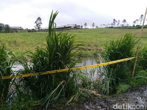 Polres Bandung Selidiki Pembuangan Kotoran Sapi di Situ Cileunca