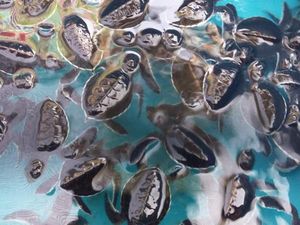 Menilik Penangkaran Penyu di Bangka