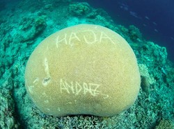 Perusakan Karang Raja Ampat, Menpar: Saya Akan Cari Orangnya