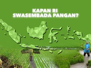 Swasembada Pangan Zaman Orba Mau Dilanjut Prabowo, Good or Bad?