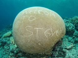 Saran Traveler Cegah Vandalisme Karang Laut