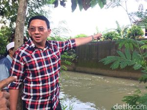 Sumarsono Usul Pelanggar Jalur TransJ Dicabut SIM, Ini Kata Ahok
