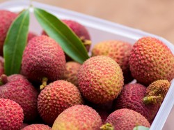 Begini Penjelasan Konsumsi Buah Leci Bisa Berujung Kematian