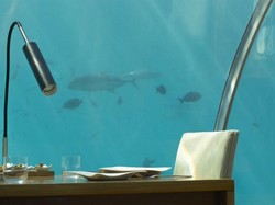 Restoran Bawah Laut dan Air Terjun, Restoran Unik di Dunia (1)