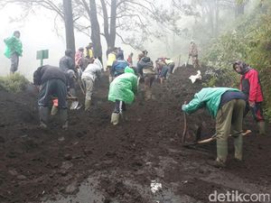 Cegah Bencana, Pemangku Hutan Diminta Tak Asal Buka Lahan Hutan