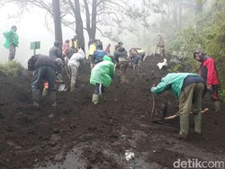 Cegah Bencana, Pemangku Hutan Diminta Tak Asal Buka Lahan Hutan