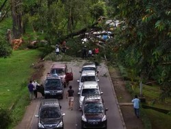 Jenazah Korban Pohon Tumbang di Dekat UI Dibawa ke RS Fatmawati