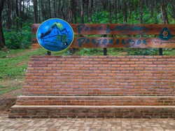 Penat di Kota? Yuk Kemping ke Hutan Pinus di Purwakarta