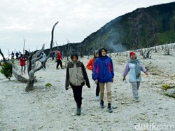 Menjelajahi Hutan Mati Gunung Papandayan
