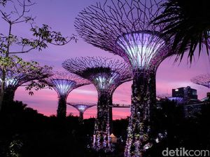 Megahnya Gardens by the Bay, Tempat Syuting Crazy Rich Asians