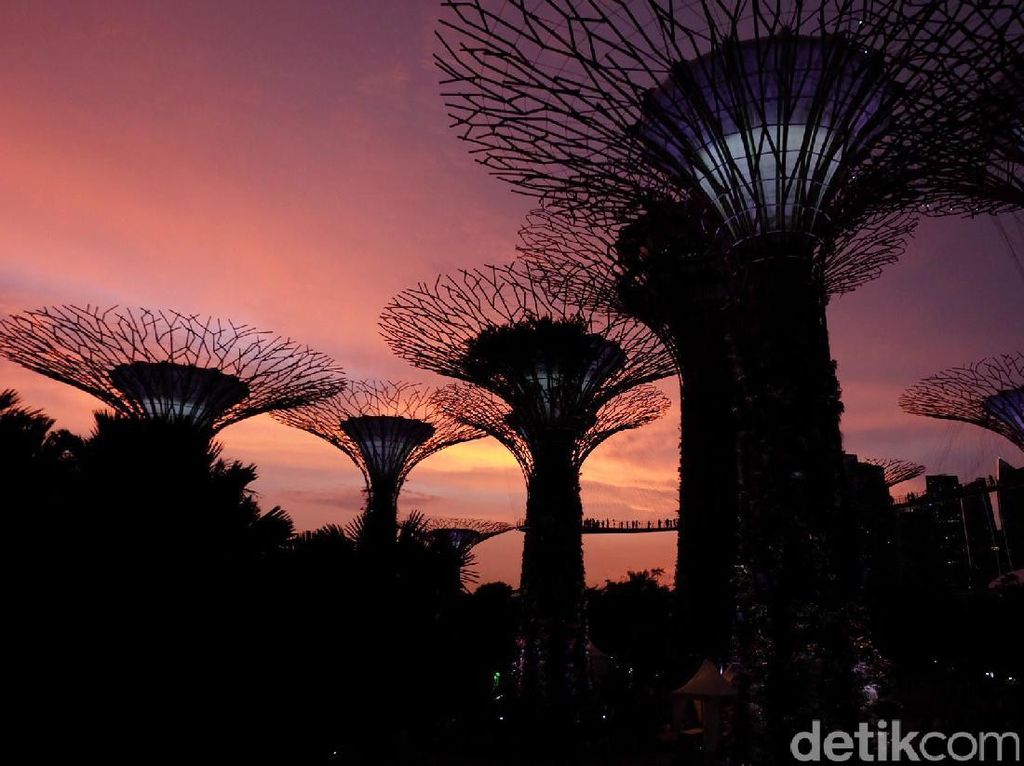 Pohon Ajaib di Gardens by the Bay Singapura