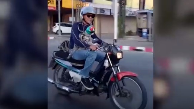  Lucu  2 Kucing  Naik  Motor  Pada Pakai Helm