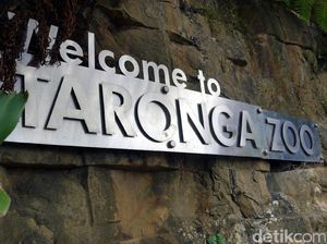 Kebun Binatang di Sydney Dapat Guyuran Dana Rp 173 M di Tengah Pandemi Kebun Binatang di Sydney Dapat Guyuran Dana Rp 173 M di Tengah Pandemi