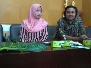 Mahasiswa UGM Olah Daun Sukun untuk Bantu Turunkan Kolesterol