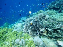 11 Wisata Terbaik di Manado, Wajib Dikunjungi!