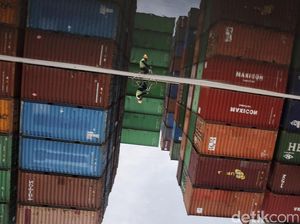 Penyelundupan 26 Ton Daging Sapi Illegal dari Australia Digagalkan Penyelundupan 26 Ton Daging Sapi Illegal dari Australia Digagalkan