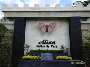 Ini Tempat Kupu-kupu Cantik di Kebumen, Taman Alian