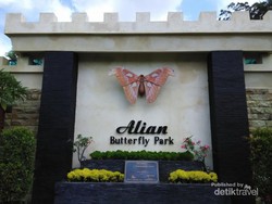 Ini Tempat Kupu-kupu Cantik di Kebumen, Taman Alian Ini Tempat Kupu-kupu Cantik di Kebumen, Taman Alian