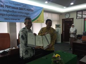 Kementan Gandeng Pertani Bikin Benih Tebu Unggulan