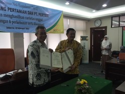 Kementan Gandeng Pertani Bikin Benih Tebu Unggulan
