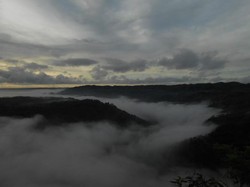Kebun Buah yang Bagai Negeri Atas Awan di Bantul