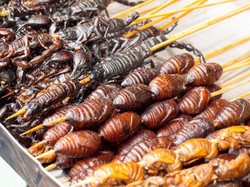 Festival Serangga dan Perang Tomat, Festival Makanan Unik di Dunia (1)