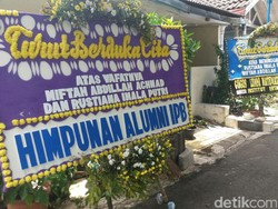 Duka Ibunda Pasutri Korban Tewas Pohon Tumbang Dekat UI