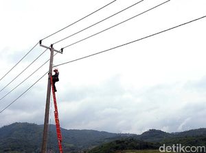 Layangan Nyangkut di Gardu Bikin Listrik di Kalbar Nyaris Padam Total Layangan Nyangkut di Gardu Bikin Listrik di Kalbar Nyaris Padam Total