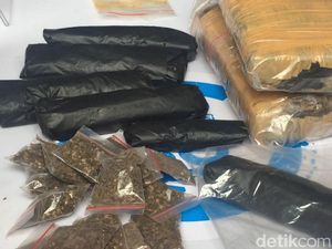 Survei BNN 80 Persen Tahu Bahaya Narkoba, Kenapa Kasus Masih Tinggi?