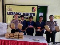 Polisi Temukan 14 Kg Ganja di Gudang Pengiriman Barang di Medan
