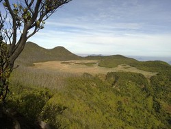 Berbagai Sisi Gunung Papandayan yang Memesona