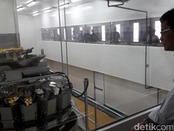 RI Optimistis Segera Ekspor Daging Ayam Segar