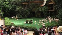 Singapura Punya Taman Burung Terluas di Asia