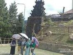 Liburan ke Gunung Salak Serasa di Bali