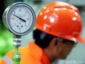 Penyebab PLTP di Mandailing Natal Disetop Sementara Penyebab PLTP di Mandailing Natal Disetop Sementara