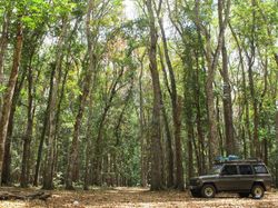 Destinasi Horor di Indonesia, Berani Berkunjung?