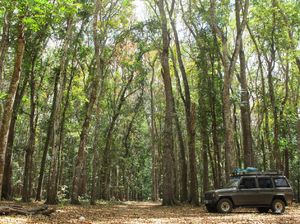 Destinasi Horor di Indonesia, Berani Berkunjung?