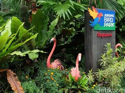 Melihat Aneka Jenis Burung Dunia di Jurong Bird Park, Singapura