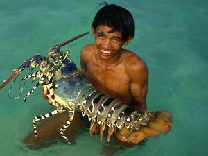 Disebut Bisa Abadi, Ini Masa Hidup Lobster yang Sebenarnya Disebut Bisa Abadi, Ini Masa Hidup Lobster yang Sebenarnya