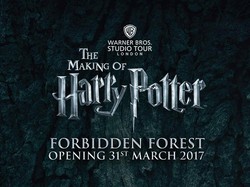 Asyik! Hutan Terlarang Hogwarts Akan Dibuka untuk Wisatawan