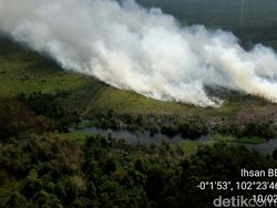 Kawasan Gambut di Pelalawan Riau Terbakar, Asap Mengepul ke Udara