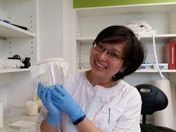 Cassandra Koh, Mahasiswi Indonesia Teliti Nyamuk Dengue di Monash