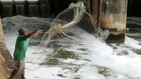 Menjala Ikan di Sungai Penuh Limbah
