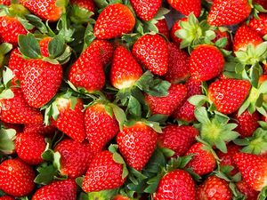 Punya Penyakit Langka, Gusi Wanita Ini Mirip Seperti Buah Strawberry Punya Penyakit Langka, Gusi Wanita Ini Mirip Seperti Buah Strawberry